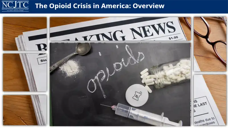 Image for Drug Identification and Recognition: The Opioid Crisis in America