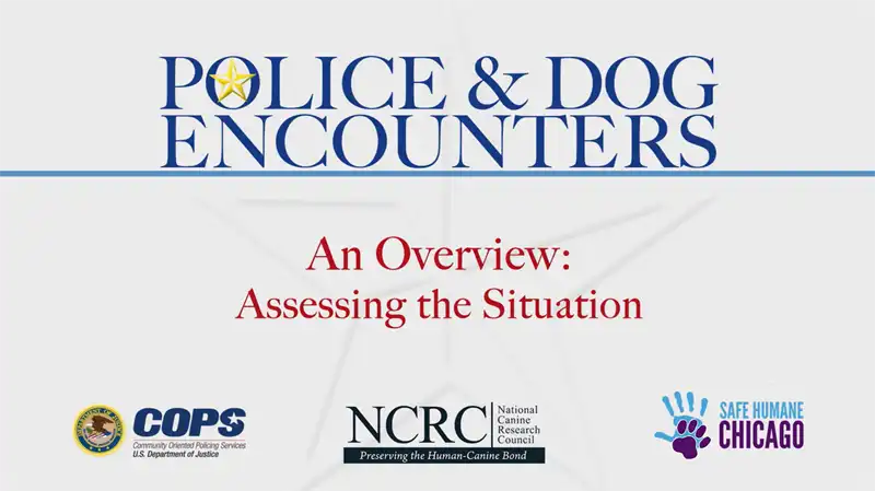 Image for Police &amp; Dog Encounters: Tactical Strategies and Effective Tools to Keep Our Communities Safe and Humane